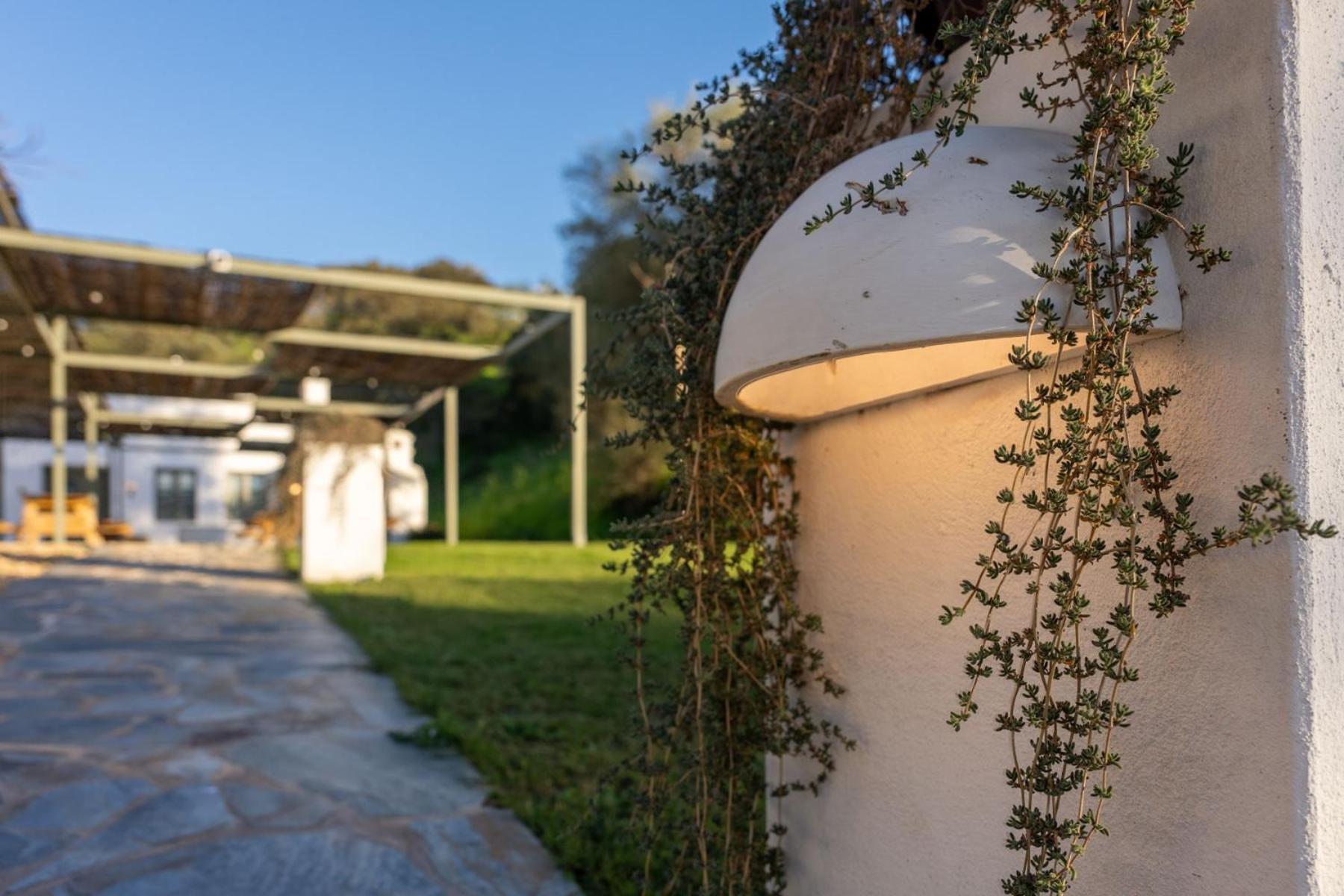 Apartamentos, Finca Contrabando Sanlucar Del Guadiana, Huelva Sanlúcar de Guadiana 외부 사진